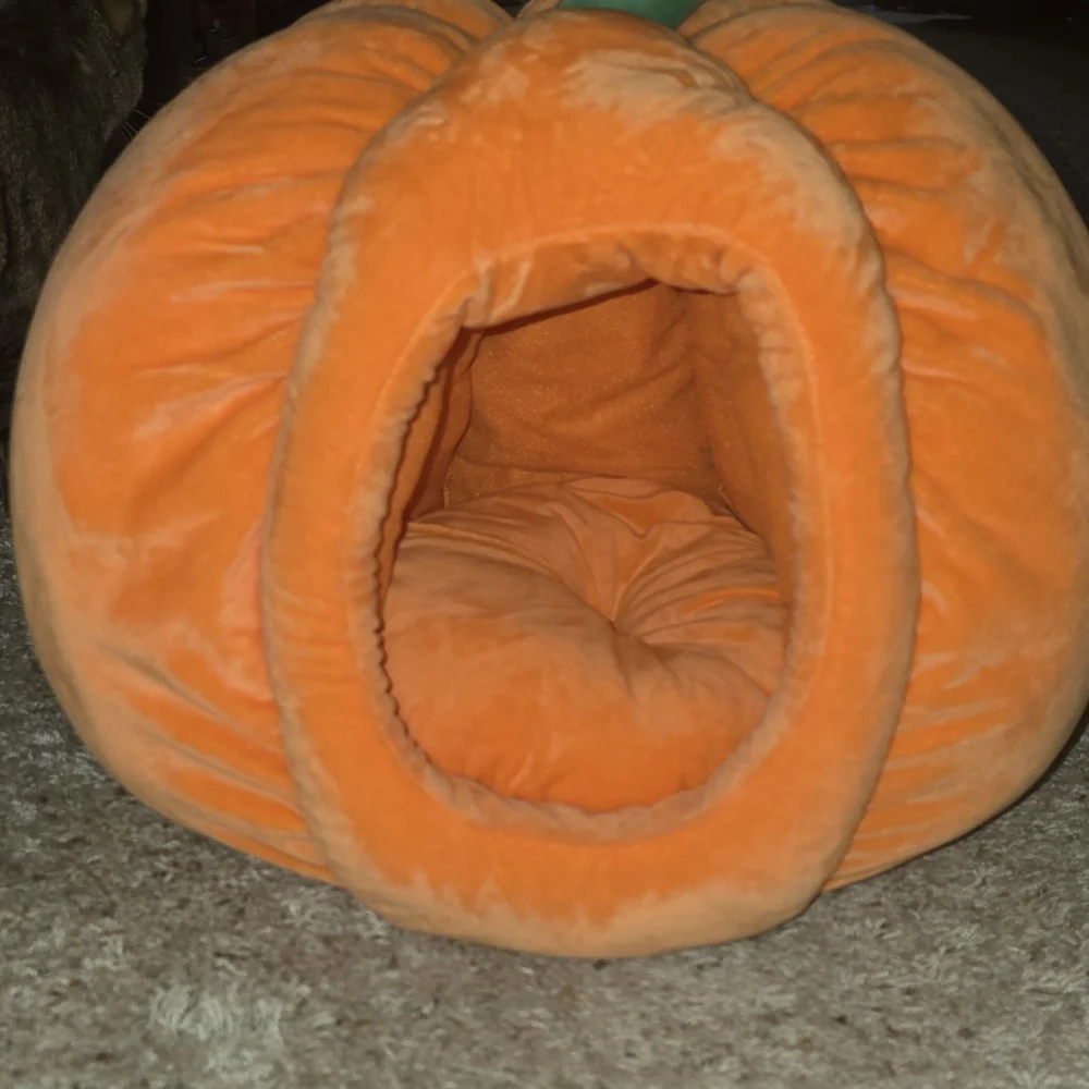 Cozy Pumpkin Pet Bed